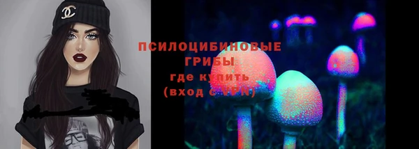 скорость Абаза