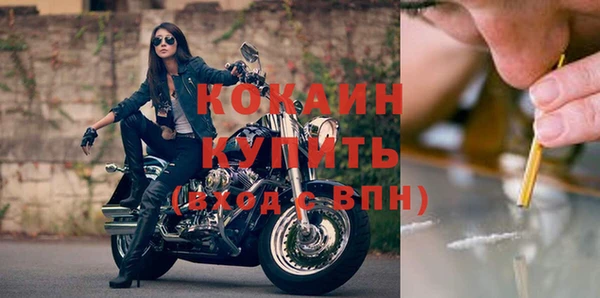 стафф Алексин